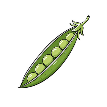 A vibrant illustration of a single open green pea pod with several ripe peas inside, showcasing its fresh natural form.