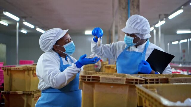 Both of quality control officer inspecting raw fish materials in a seafood processing factory before entering the production line