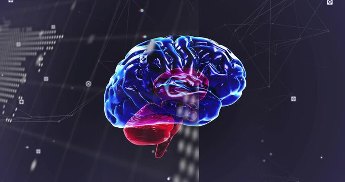 Rotating translucent 3D brain showing blue-magenta-red regions in virtual data studio, code map net