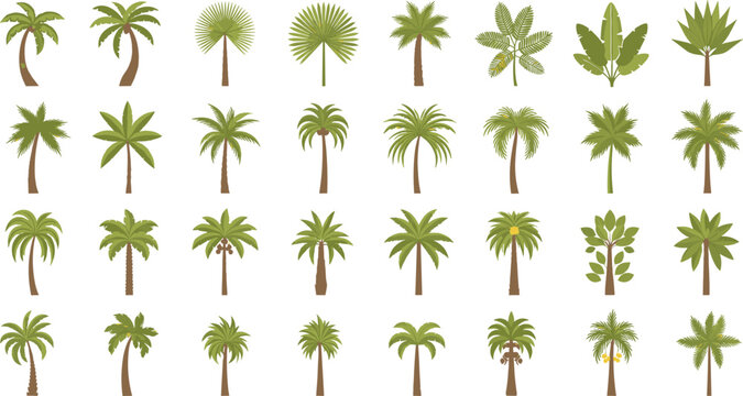 Diverse Palm Tree Collection with Various Styles and Tropical Leaves for Nature, Tropical, and Botanical Illustration Projects