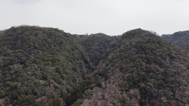 Drone panning shot over river in forest, smooth natural landscape 30s 4K