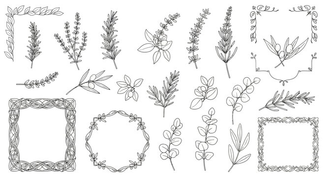 Botanical Leaves and Frames Collection.