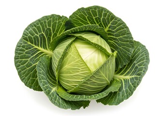 Obraz premium Fresh green cabbage vegetable with large leaves and tight head on white background healthy eating and nutrition