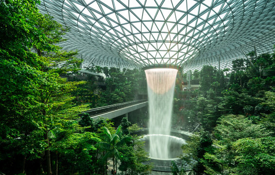 SINGAPORE-OCTOBER 19, 2019 : HSBC Rain Vortex, the world's tallest indoor waterfall at Jewel Changi Airport. Green forest in mall and skytrain. Iconic landmark destinations at Singapore Changi Airport