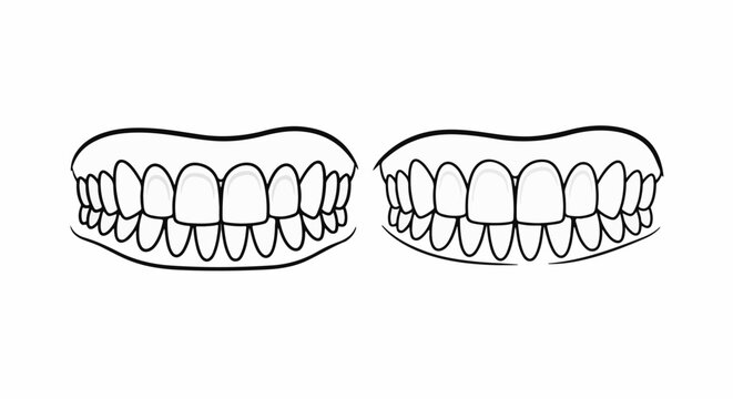 Two sets of white teeth in black outline, appearing healthy and clean