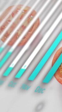 Vertical video: Teal UI bars sliding over tomato halves when month labels slide, showing progress