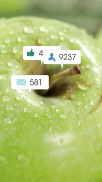 Vertical video: Green apple getting alert bubbles from frame three, showing social engagement