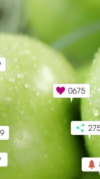 Vertical video: Camera shifting, icons popping and clustering on green apples, showing social stats