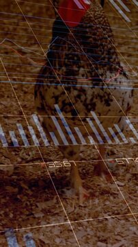 Displaying HUD charts and blue bars, camera tracking speckled fowl entering and centering on chips