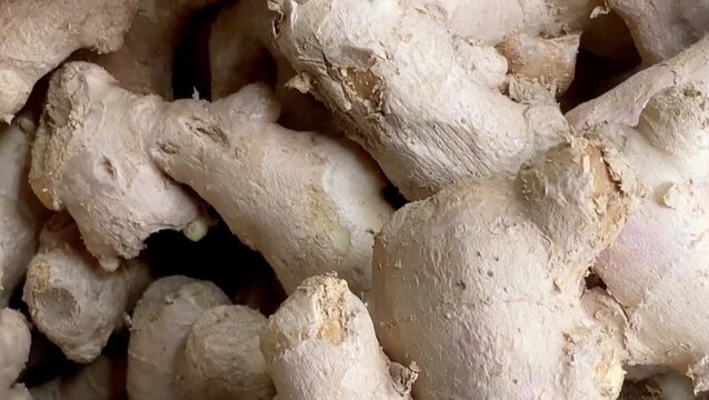 A close up shot of a pile of fresh raw ginger roots