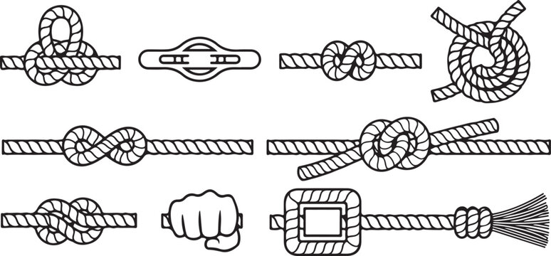Various antique and historic vehicles displayed in a lineup Vector