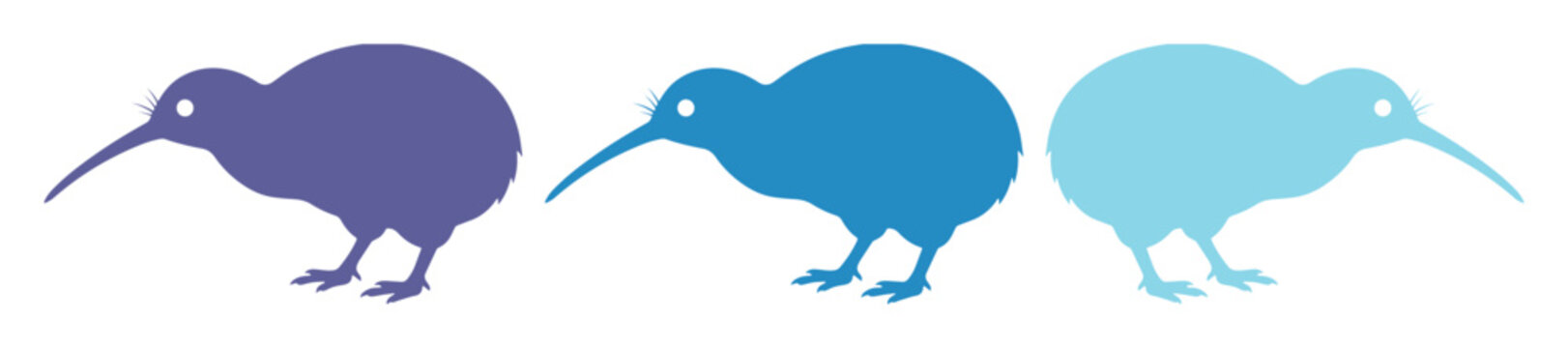 Kiwi bird vector silhouettes, three distinct blue and purple kiwi bird illustrations, flat graphic design elements for wildlife and nature themes, isolated on white background