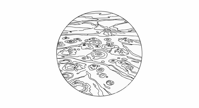 Abstract oval pattern with swirling lines and circular shapes