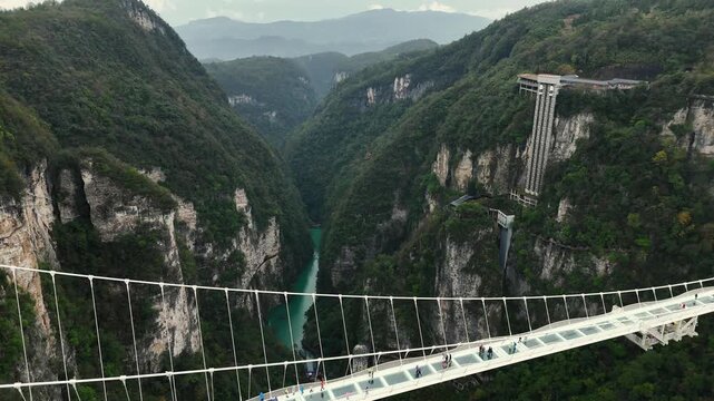 Cinematic scene showing suspension bridge spanning vibrant turquoise valley with lush cliffs. Crossing glass suspension bridge in Zhangjiajie, China