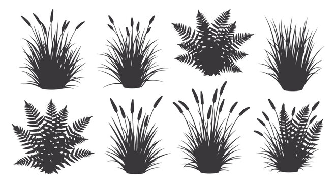 Diverse collection of vector grass, reed, and fern plant silhouette illustrations.