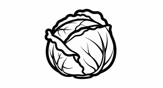 A bold black and white outline drawing of a round cabbage with ruffled leaves