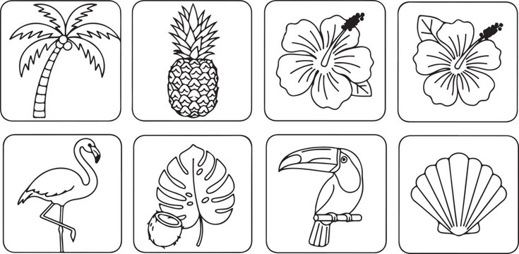 A collection of line drawings illustrating different types of leaves Vector
