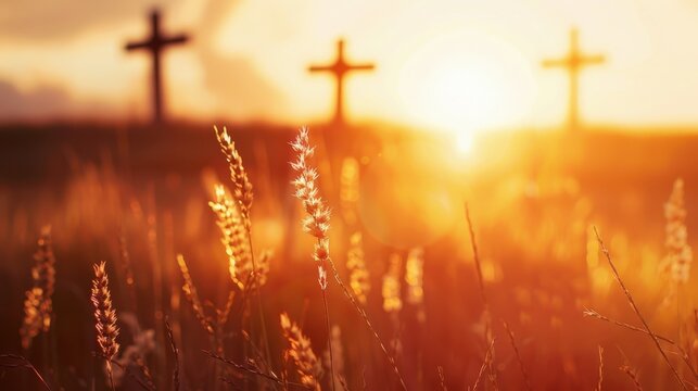 Silhueta de tr&ecirc;s cruzes na colina com campo de trigo ao p&ocirc;r do sol dourado, fundo religioso de P&aacute;scoa