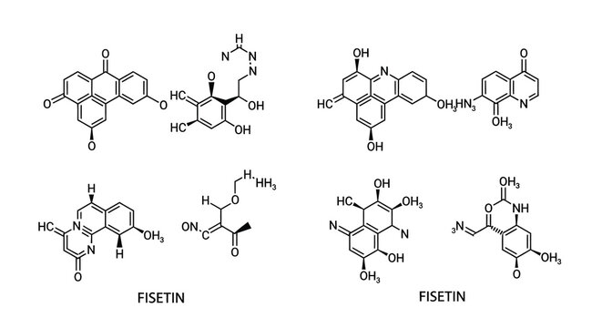 Complex chemical structures depicted in a detailed scientific illustration silhouette
