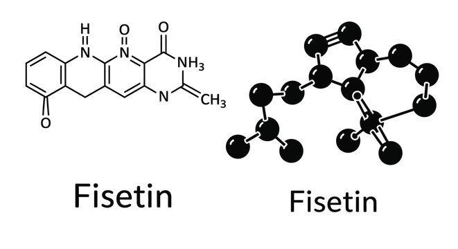 Chemical structures of fisetin displayed as diagrams a dark silhouette