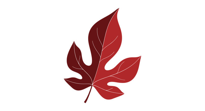 Red stylized leaf with multiple lobes and realistic color gradients represents autumn foliage for seasonal change and fall designs.