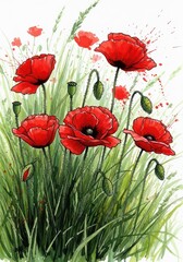 Fototapeta premium Vibrant red poppy blossoms bloom amidst tall green meadow grasses in a bright illustration