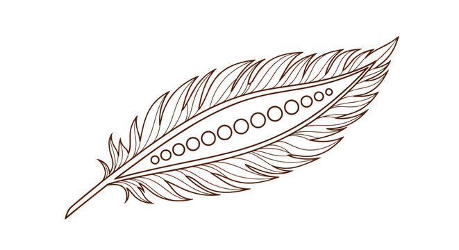 Intricate brown line drawing of a stylized feather features a central row of circles and delicate quill details throughout.