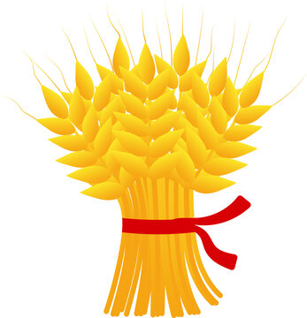 Sheaf of Wheat with Red Ribbon