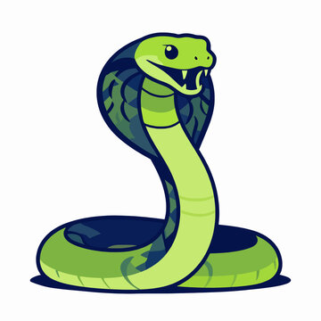 Powerful king cobra snake flat vector illustration, aggressive serpent striking with open mouth and fangs, minimalist wildlife mascot isolated on white for sports branding or tattoo design.