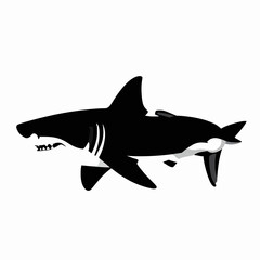 Fototapeta premium Minimalist Black Silhouette of a Single Great White Shark in Dynamic Swimming Pose, Flat Vector Illustration of a Powerful Marine Predator Isolated on White Background for Logo or Graphic Design