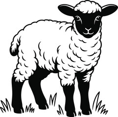 Cute little lamb standing in grass vector silhouette, young sheep in monochrome isolated.