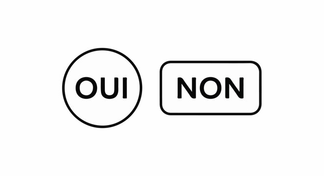 Circular and rectangular buttons with text 'OUI' and 'NON' on white