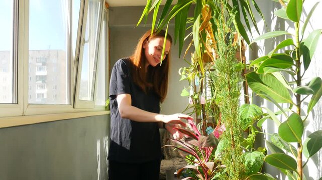Young woman tending to indoor plants on a sunlit balcony. Gardener pruning home greenery in morning light. Lifestyle hobby and caring for houseplant concept.