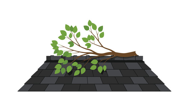 A brown tree branch with green leaves is shown lying flat on a dark grey shingled roof against a white background.