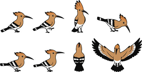 vector illustration of upupa bird funny cute cartoon mascot character cartoon with 8 poses © weng