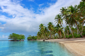 Obraz premium Travel background with green palm trees on caribbean beach.