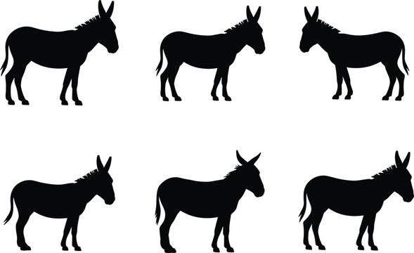 Donkey silhouettes set, farm animal mule poses standing livestock vector illustration isolated design