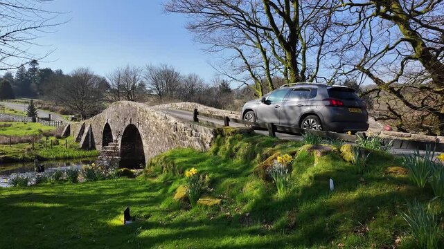 Dartmoor Devon England UK. 20.03.2026. Video. Springtime at Two Bridges  on Dartmoor along the West Dart river  with spring flowers on the riverbank.