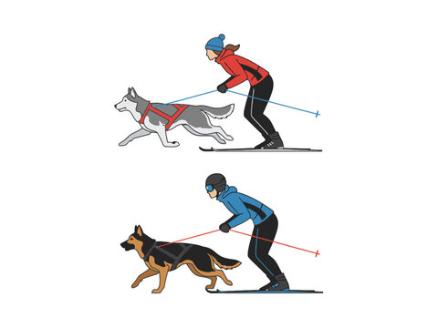Skijoring people with dogs illustration set on white background