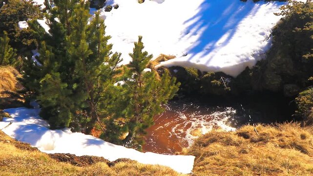 Stream in Font Romeu at the end of winter, flowing through the fields.
20-second fixed-shot video. Water running through the Pyrenees in winter.
