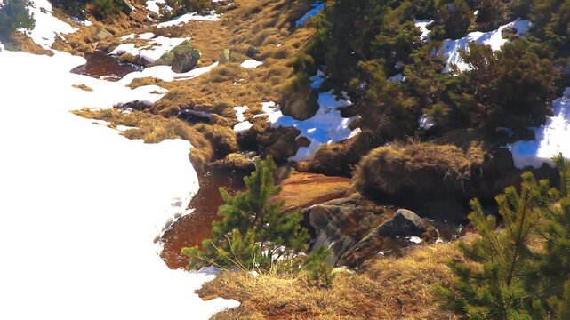 Stream in Font Romeu at the end of winter, flowing through the fields.
20-second fixed-shot video. Water running through the Pyrenees in winter.
