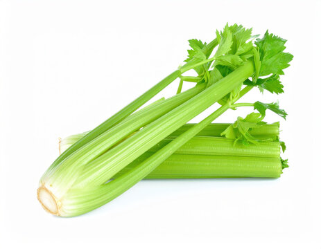 Fresh green organic celery stalks on white background