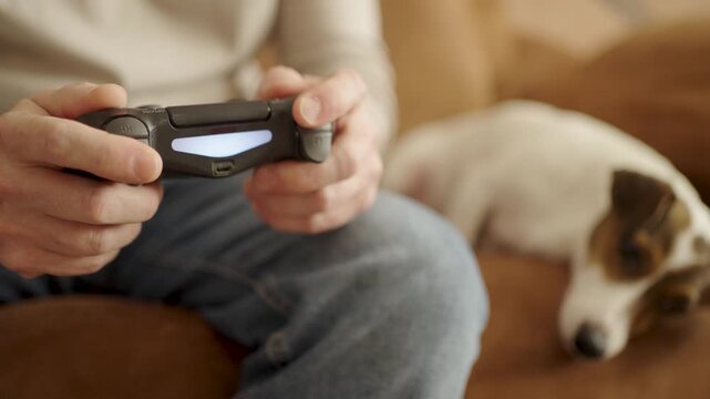 Man Playing Video Games while Petting Jack Russell Terrier on Sofa. Close-up of a man's hand holding a game controller while his other hand strokes a sleeping dog