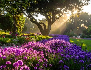 Naklejka premium A sunlit garden path, lined with vibrant purple flowers, leads toward a large tree bathed in golden sunlight. Lush greenery surrounds