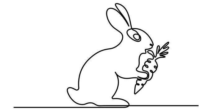 Minimalist continuous one line drawing rabbit eating a carrot animation video. Full length single line art animation.