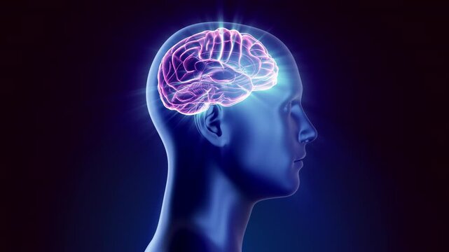 Side profile 3D animation of head featuring glowing brain with light rays. Depicts migraine aura, intense neural firing, epilepsy, creative inspiration or psychiatric conditions. Abstract medical rend