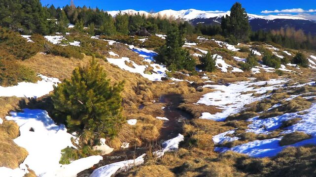Stream in Font Romeu at the end of winter, flowing through the fields.
20-second fixed-shot video. Water running through the Pyrenees in winter.
