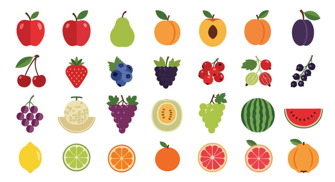 A vibrant collection of fresh, ripe fruits and berries illustrated in a clean, flat vector design.