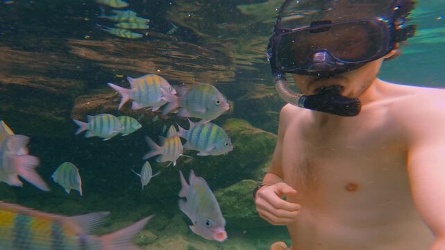 Father and his ten year old son diving in tropical sea surrounded by colorful fish. Joyful family marine adventure underwater. Slowmotion video.