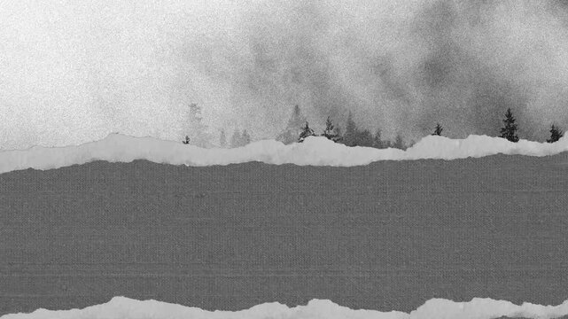 Snow Winter Background With Copy Space Forest Landscape Animation